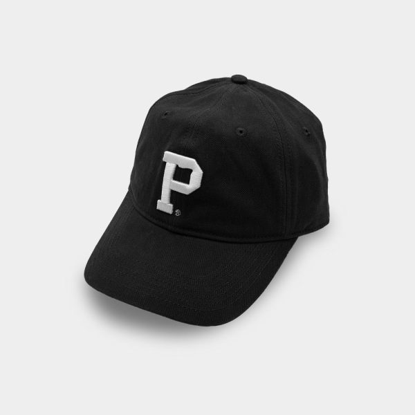 dad hats cap